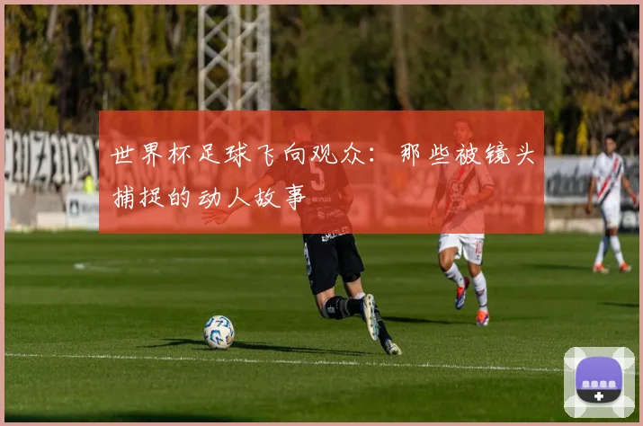 世界杯足球飞向观众:那些被镜头捕捉的动人故事