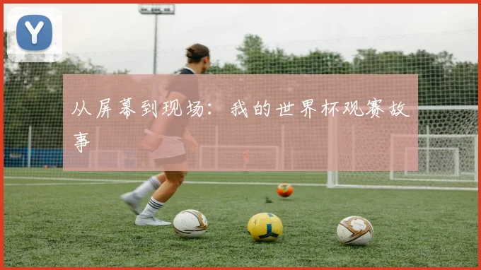 从屏幕到现场：我的世界杯观赛故事