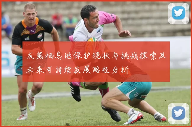 灰熊栖息地保护现状与挑战探索及未来可持续发展路径分析