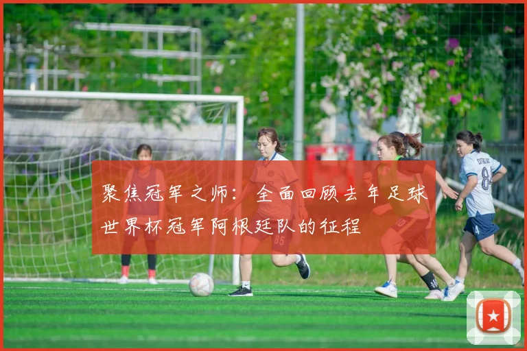 聚焦冠军之师：全面回顾去年足球世界杯冠军阿根廷队的征程