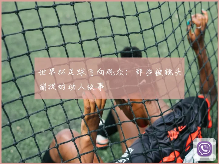 世界杯足球飞向观众:那些被镜头捕捉的动人故事