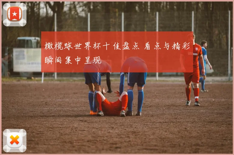 橄榄球世界杯十佳盘点 看点与精彩瞬间集中呈现