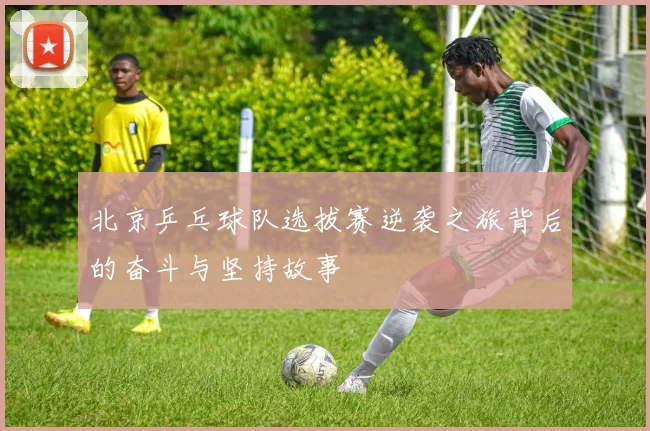 北京乒乓球队选拔赛逆袭之旅背后的奋斗与坚持故事