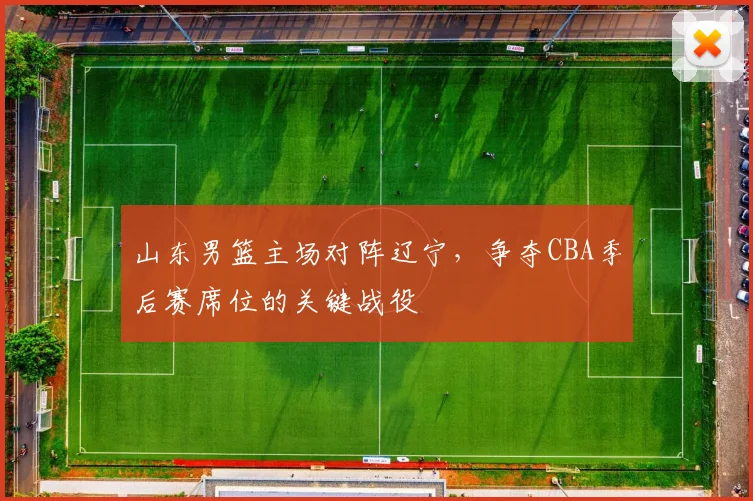 山东男篮主场对阵辽宁,争夺CBA季后赛席位的关键战役