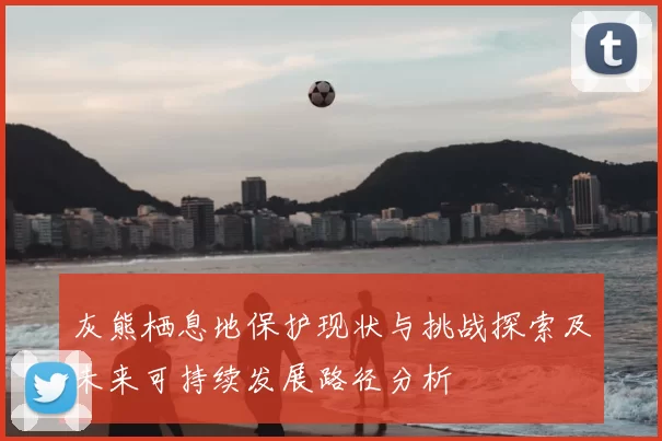 灰熊栖息地保护现状与挑战探索及未来可持续发展路径分析